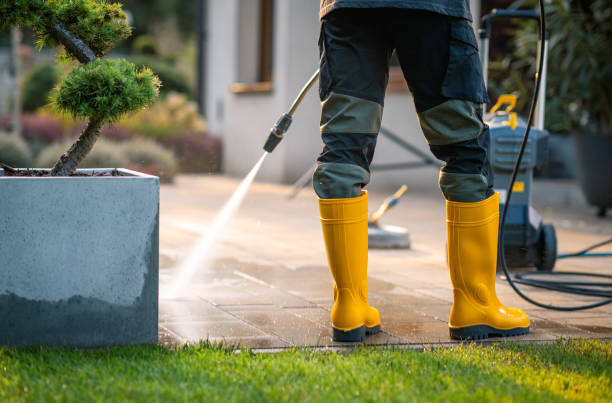 Best Roof Pressure Washing  in Shady Hills, FL